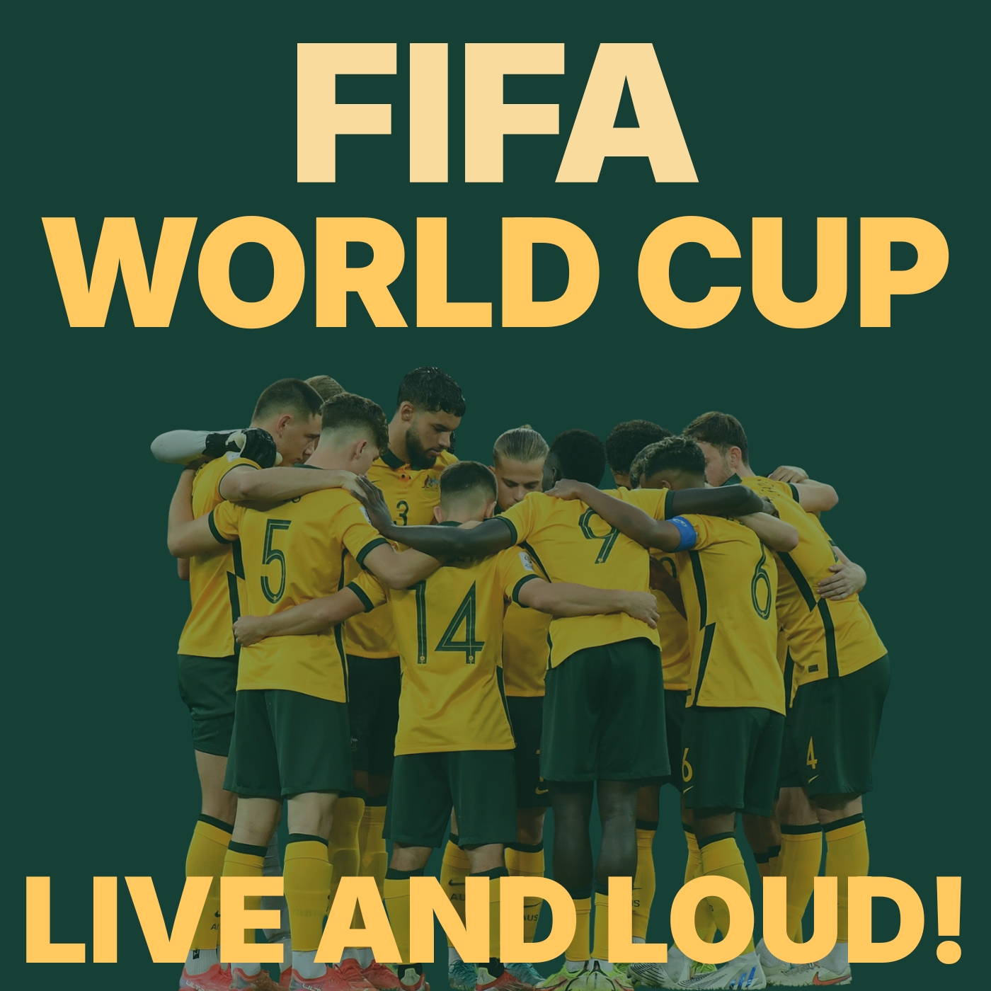 FIFA WORLD CUP