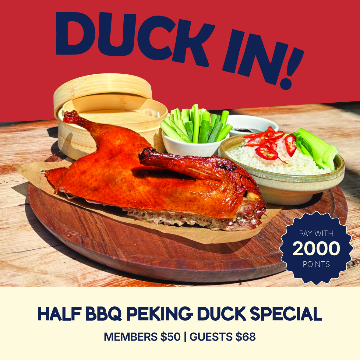 DUCK IN!
